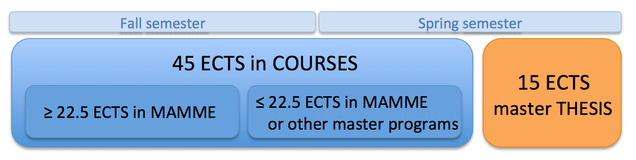 Masters thesis and project requirements — Mathematics